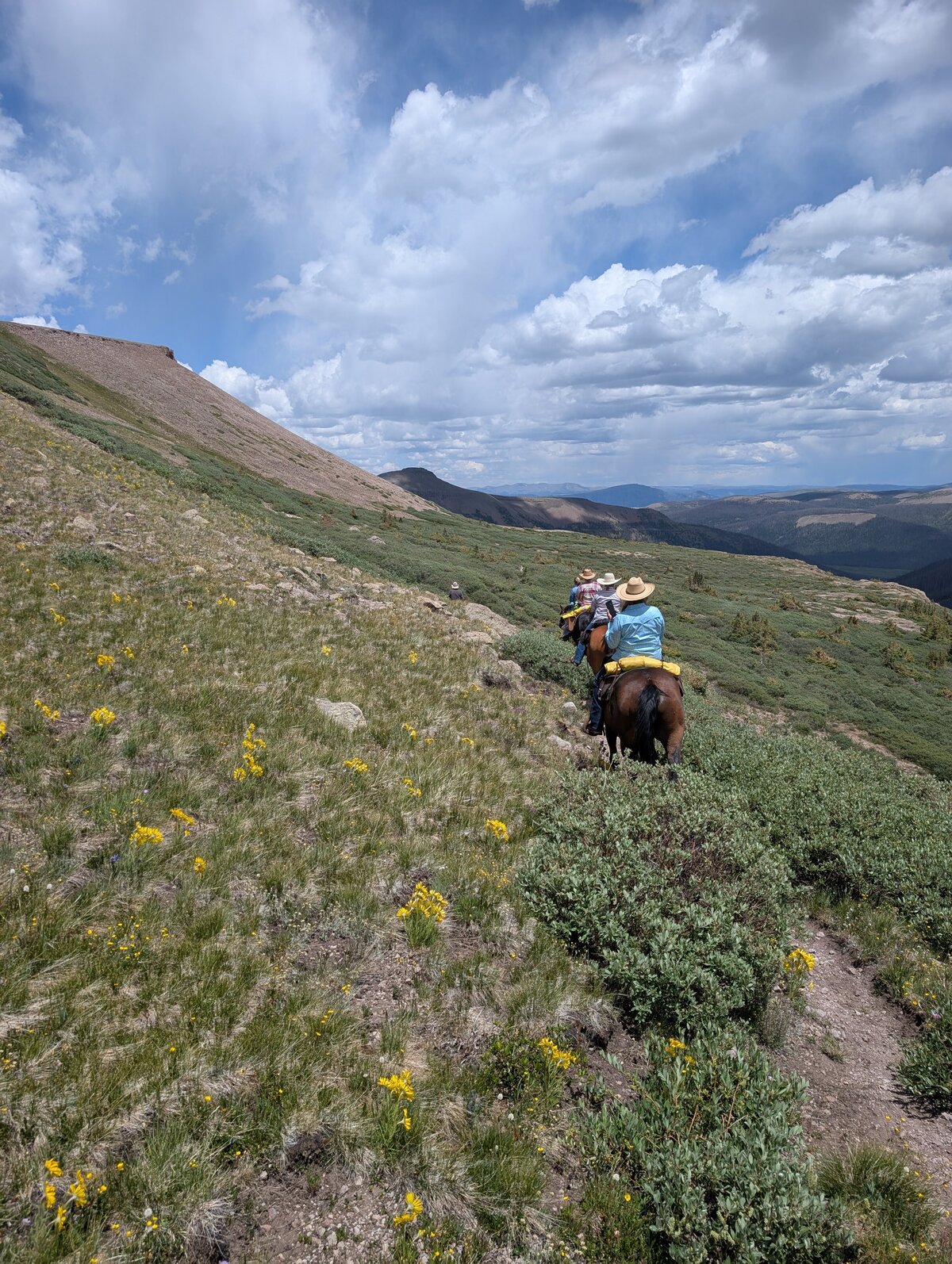 PXL_20250710_194830165.RAW-01.MP.COVER