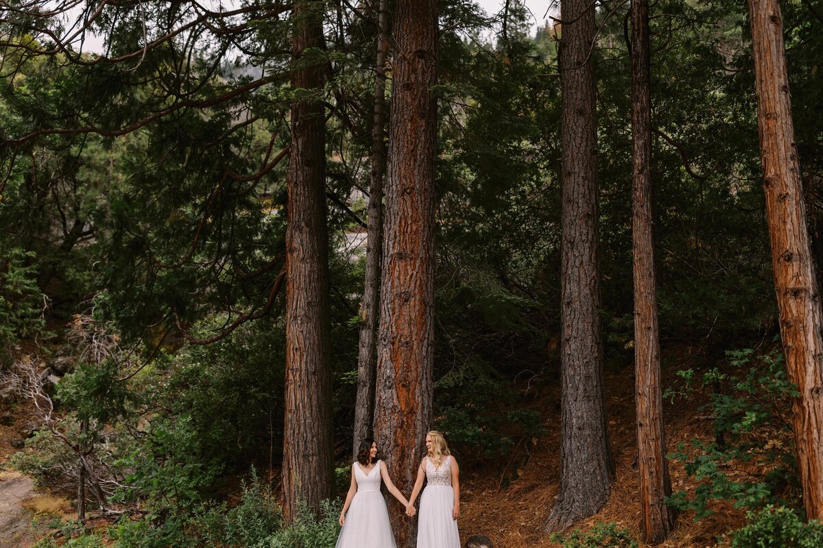 Summer_Sunrise_Yosemite_Elopement_Amber_Sarah-157