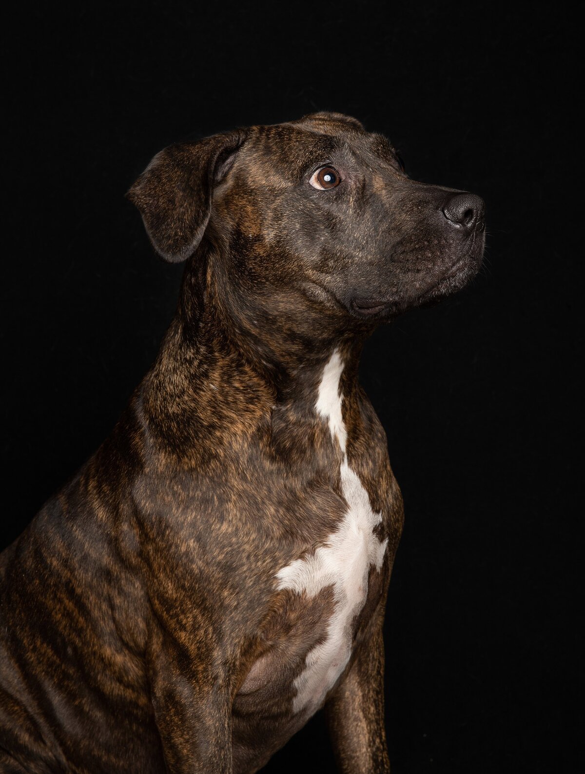 408A3867-Edit
