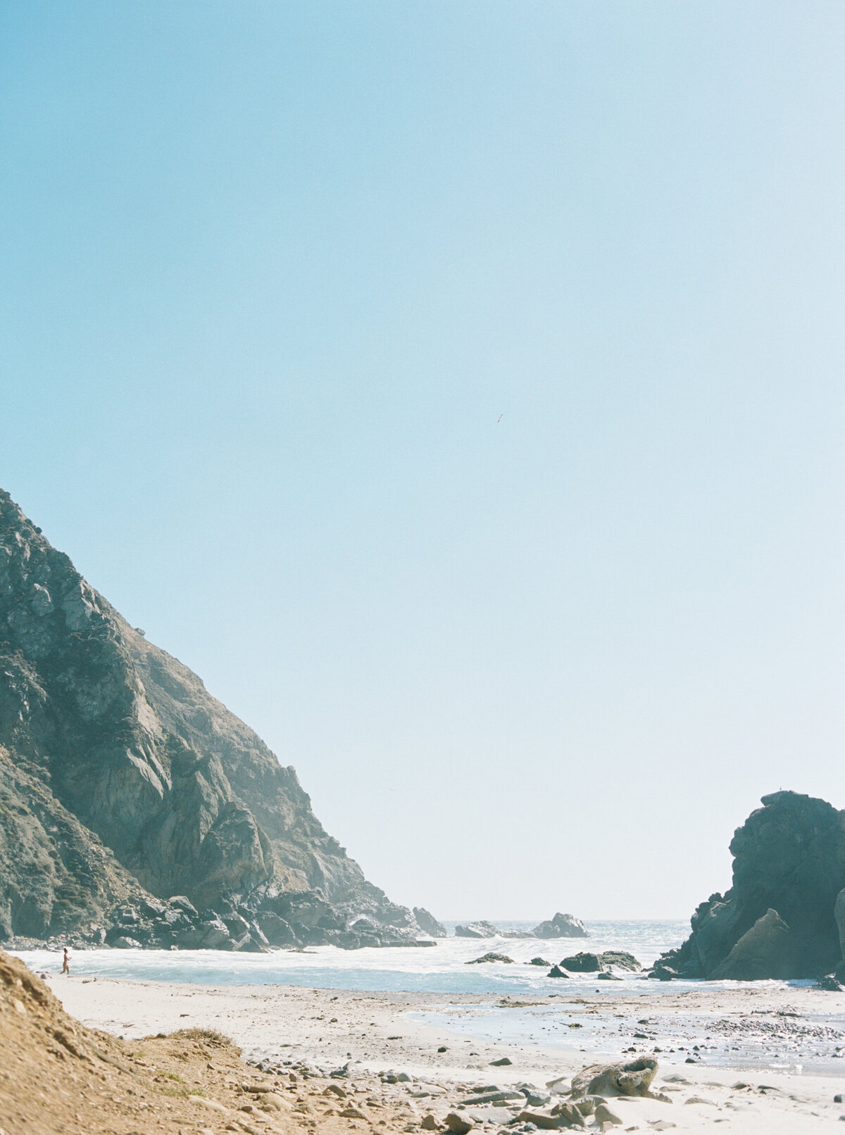 bigsur-California-wedding (8 of 29)