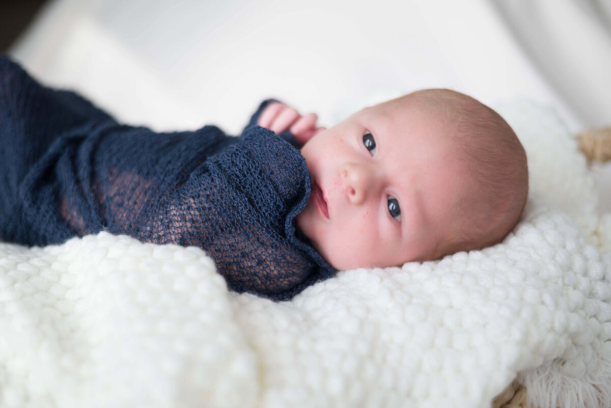 newborn-south-lyon-michigan