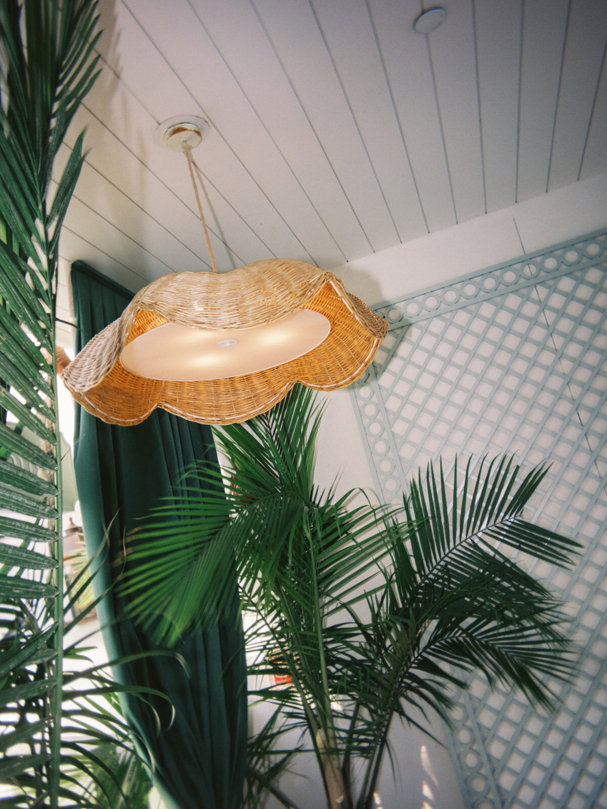 0299- Bianca and Nolan Married © 2025 Will Reid Photo