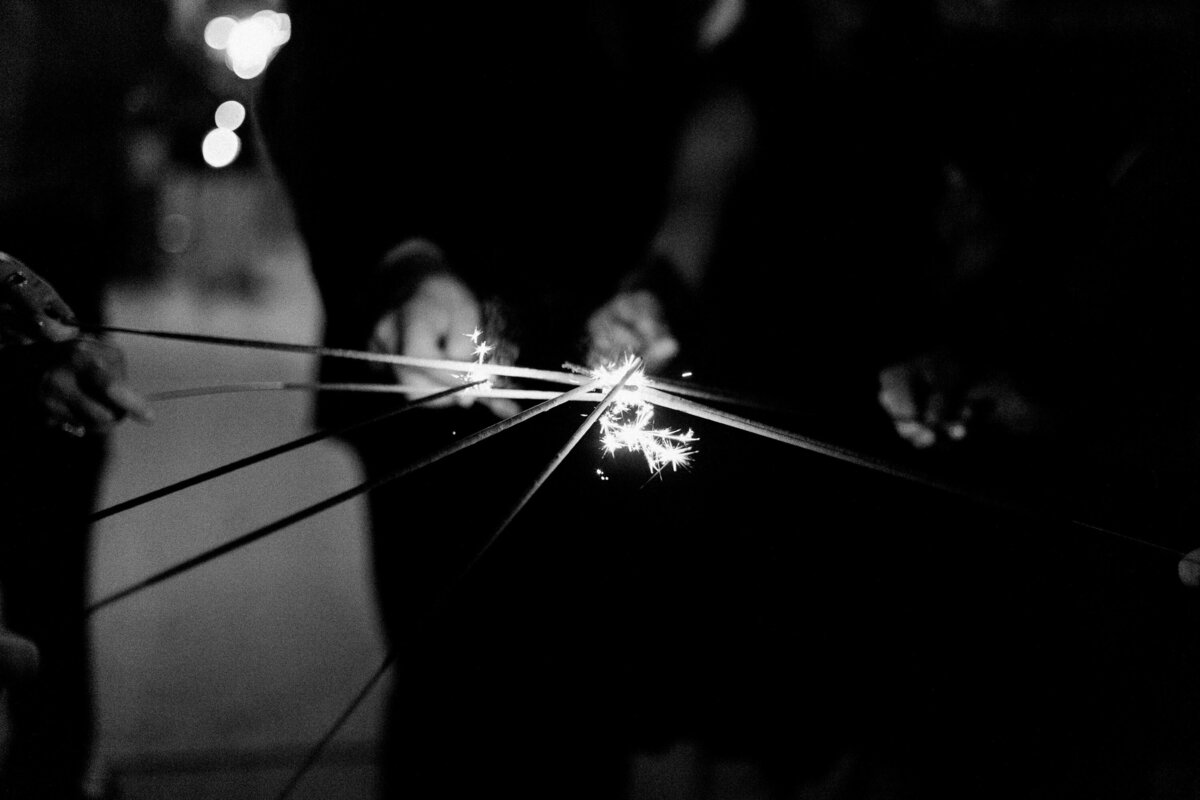 san_antonio_austin_texas_wedding_photographer-Gardens-Cranesbury-View-LnG-1409