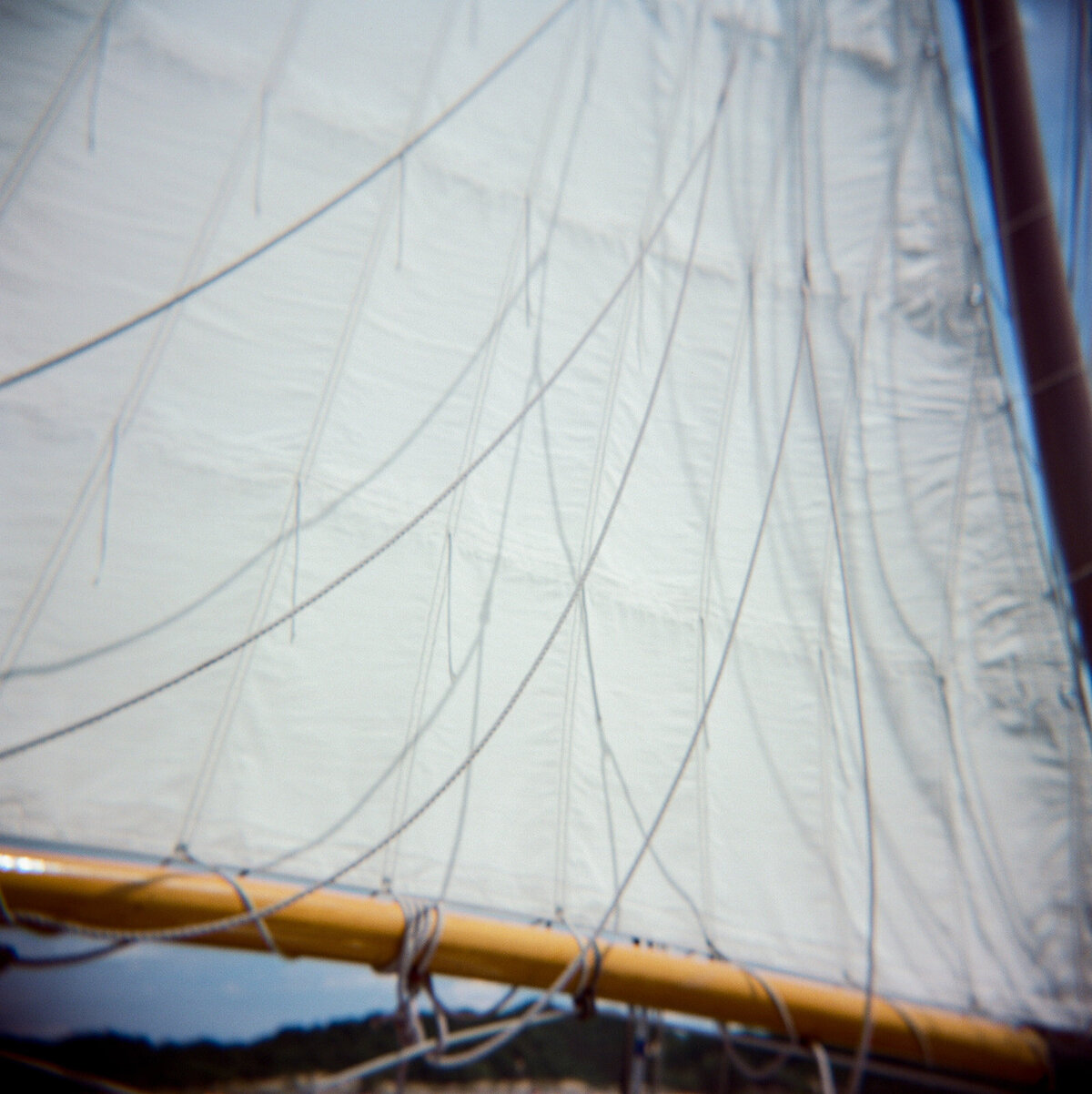 Sarah & Blake Sailboat-80
