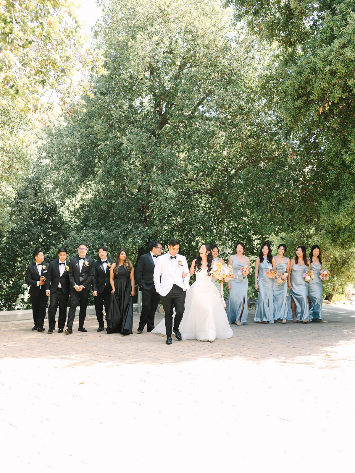 A bridal party walks outdoors, with a bride in a white gown and groom in a white jacket. Bridesmaids wear light blue dresses, groomsmen in black tuxedos. Lush green trees in the background.