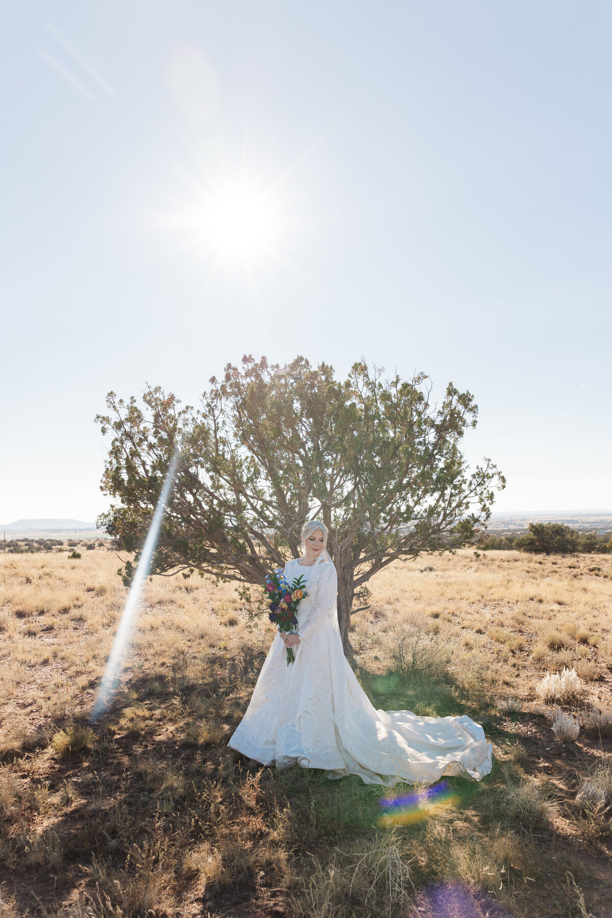 arizona wedding