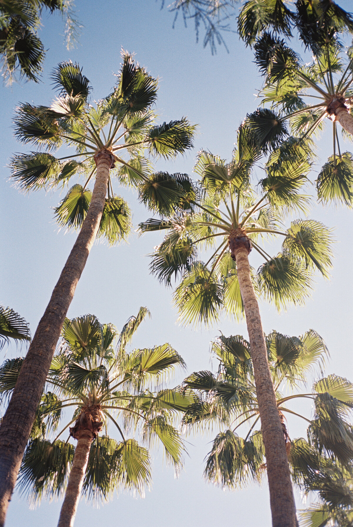 Arizona Wedding Photographer (6 of 102)