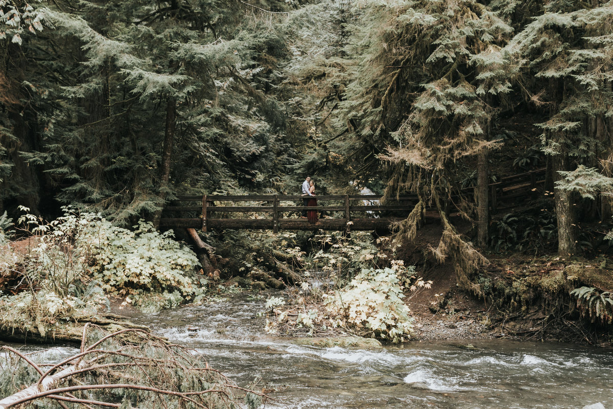 lakecrescent - olympic national park - marymere falls - elopement - engagement session-37