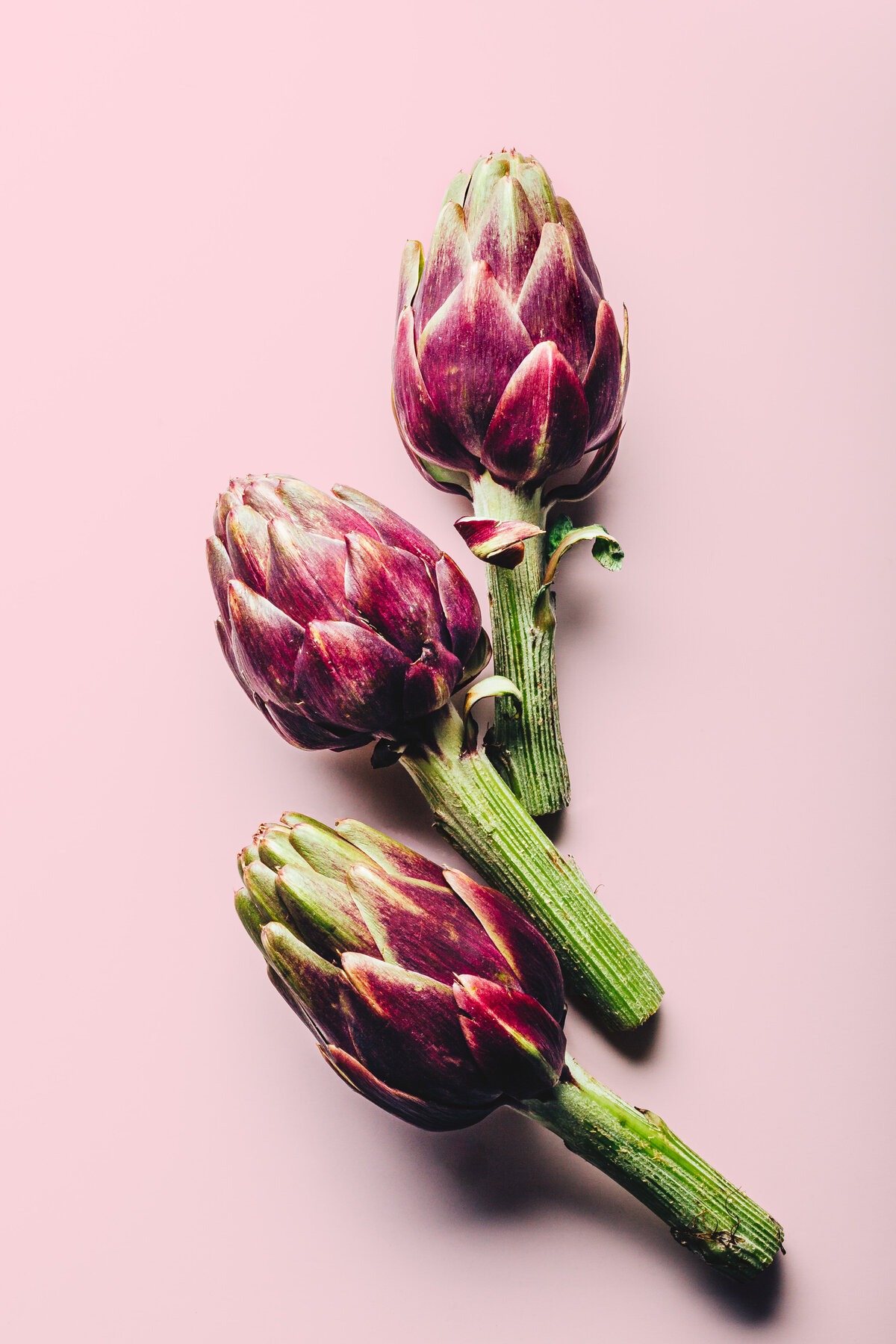 Purple Artichokes Coloricious Food Photography