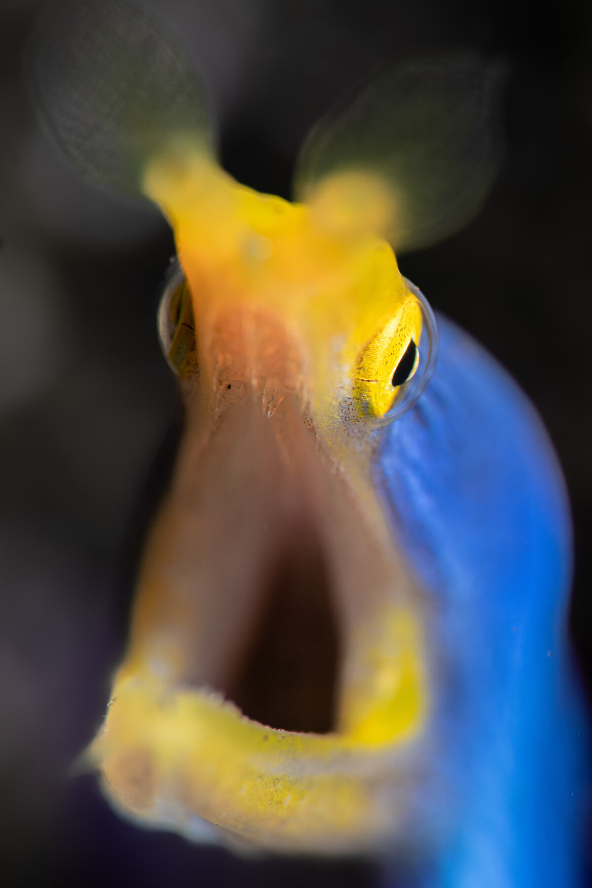 DSC_9193