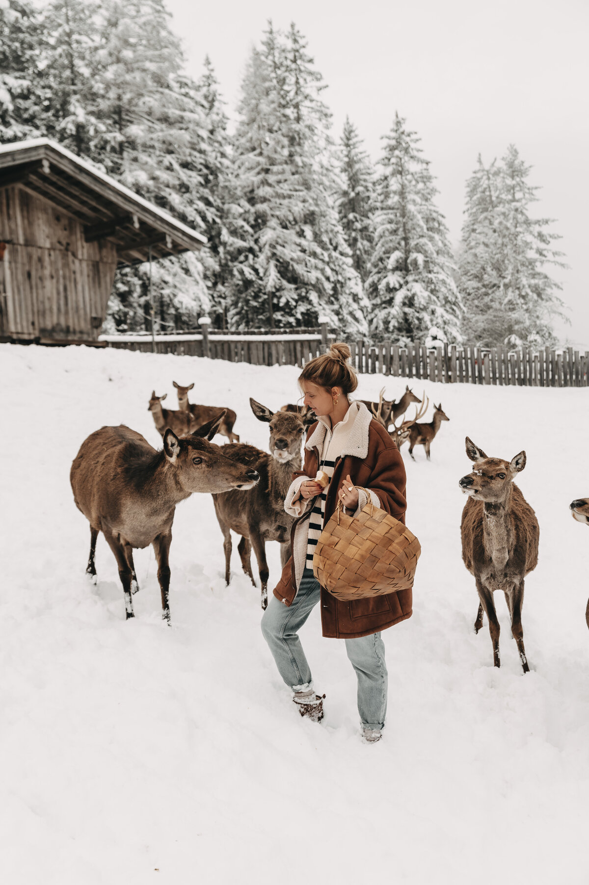 tiere-jufenalm-wildgehege-winter22