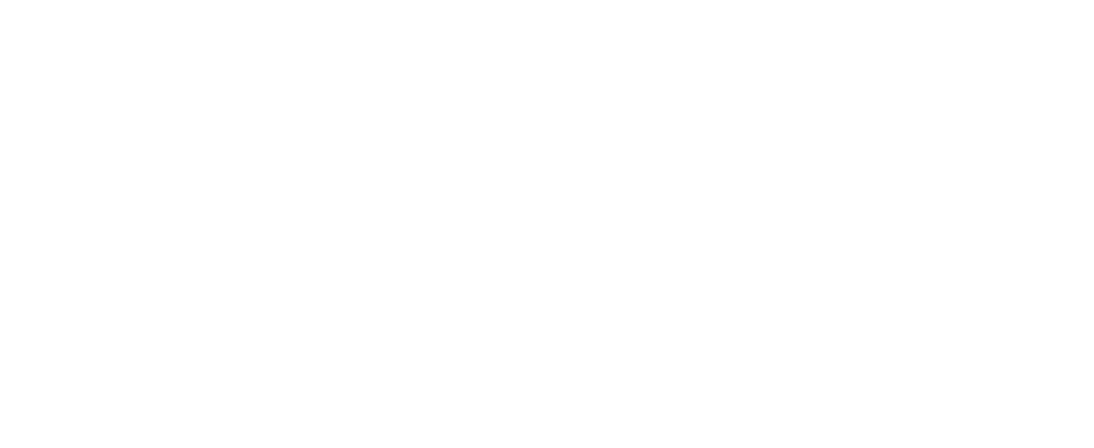Vivid-Moments-Photo-logo