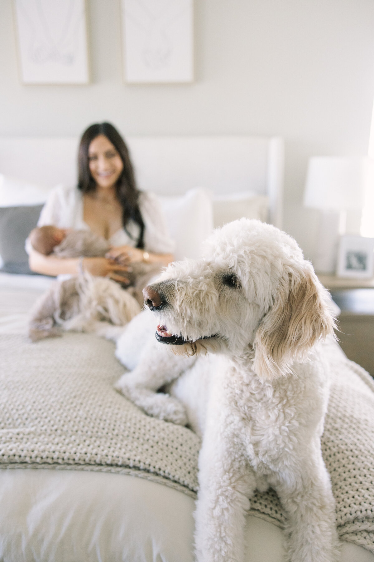 The Dalzell Family | Newborn-0024
