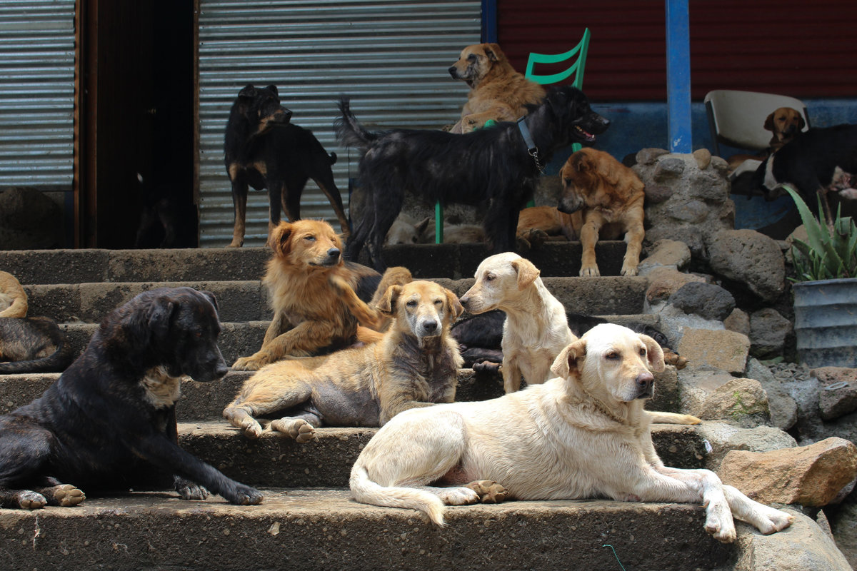 Wade_Muir_Photography_Places-59