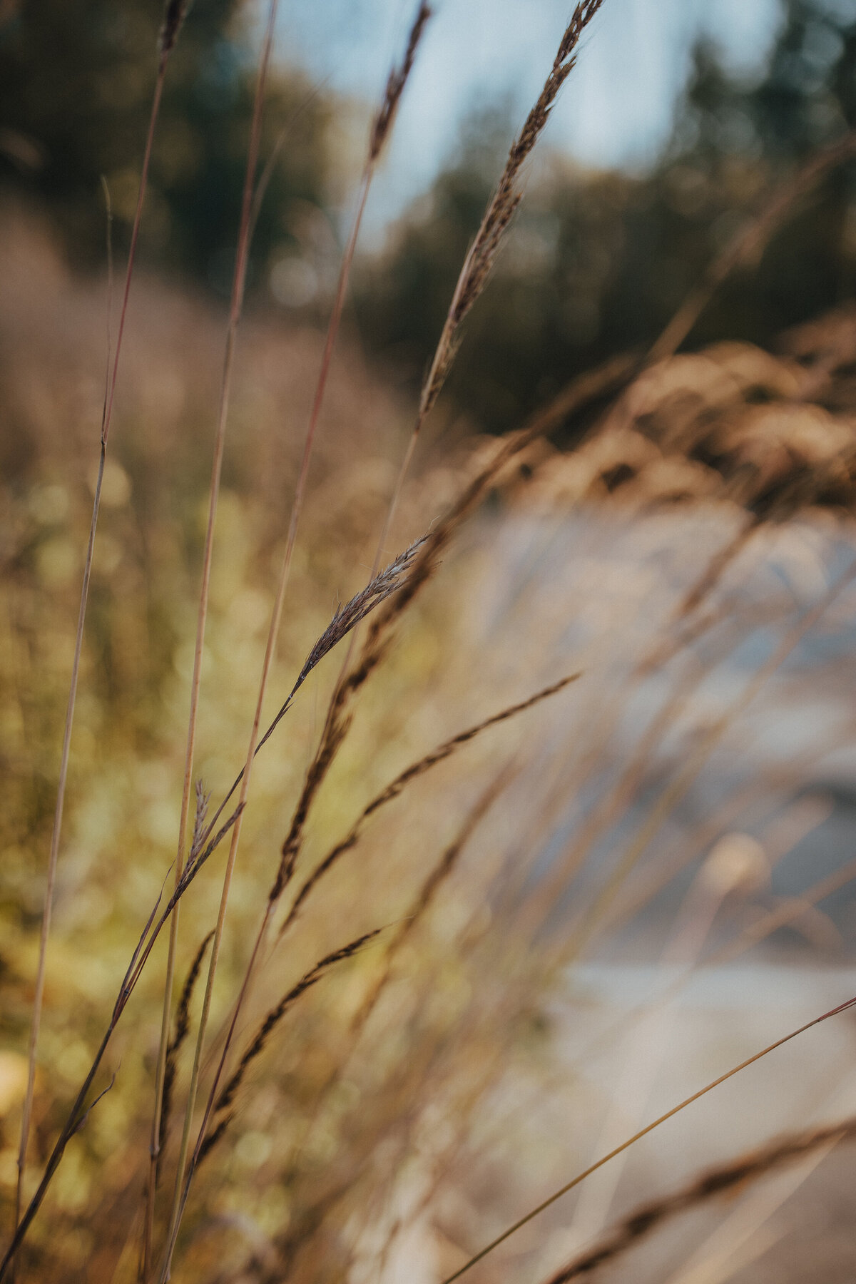 BAP25-SamanthaCody-Engaged-78