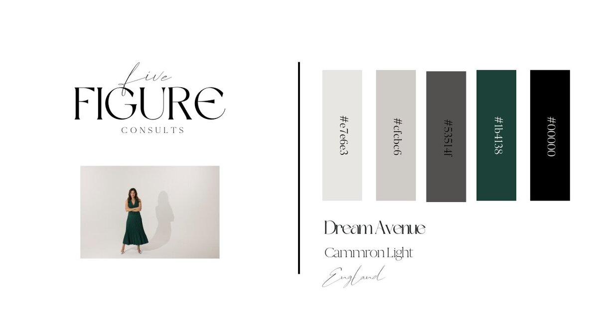 5 Figure consults brand kit