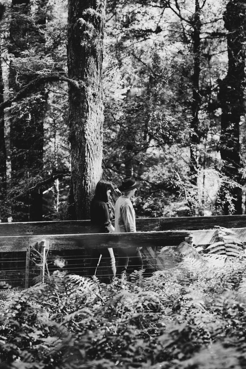 Liminal-Wonderland-Surprisal-Proposal-Engagement011