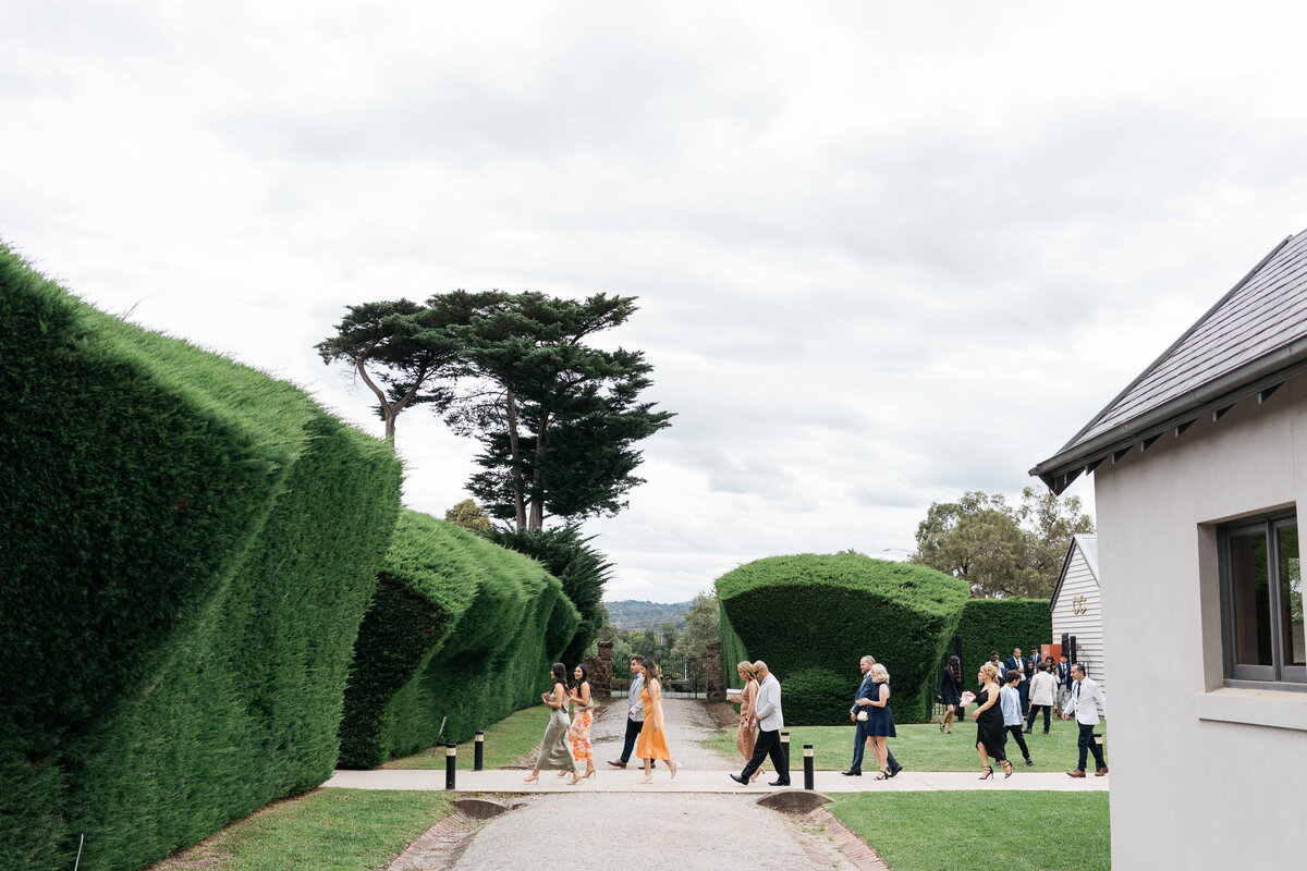 Courtney Laura Photography, Yarra Valley Wedding Photographer, Coombe Yarra Valley, Daniella and Mathias-61