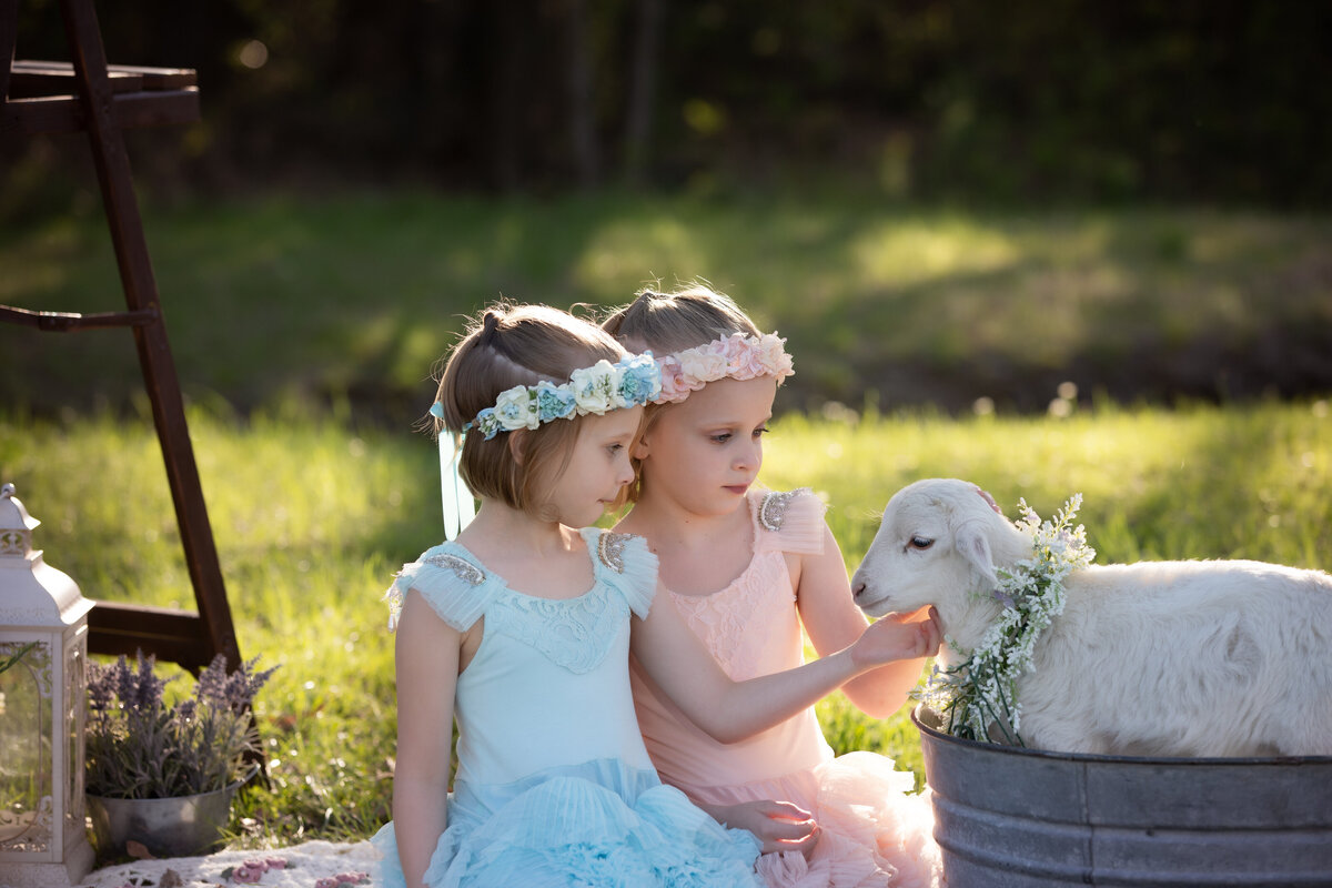 two-girls-couture-gowns-and-sunlight-with-a-baby-lamb-in-a-bucket-girls-are-wearing-pink -and-blue-and-have-floral-crowns