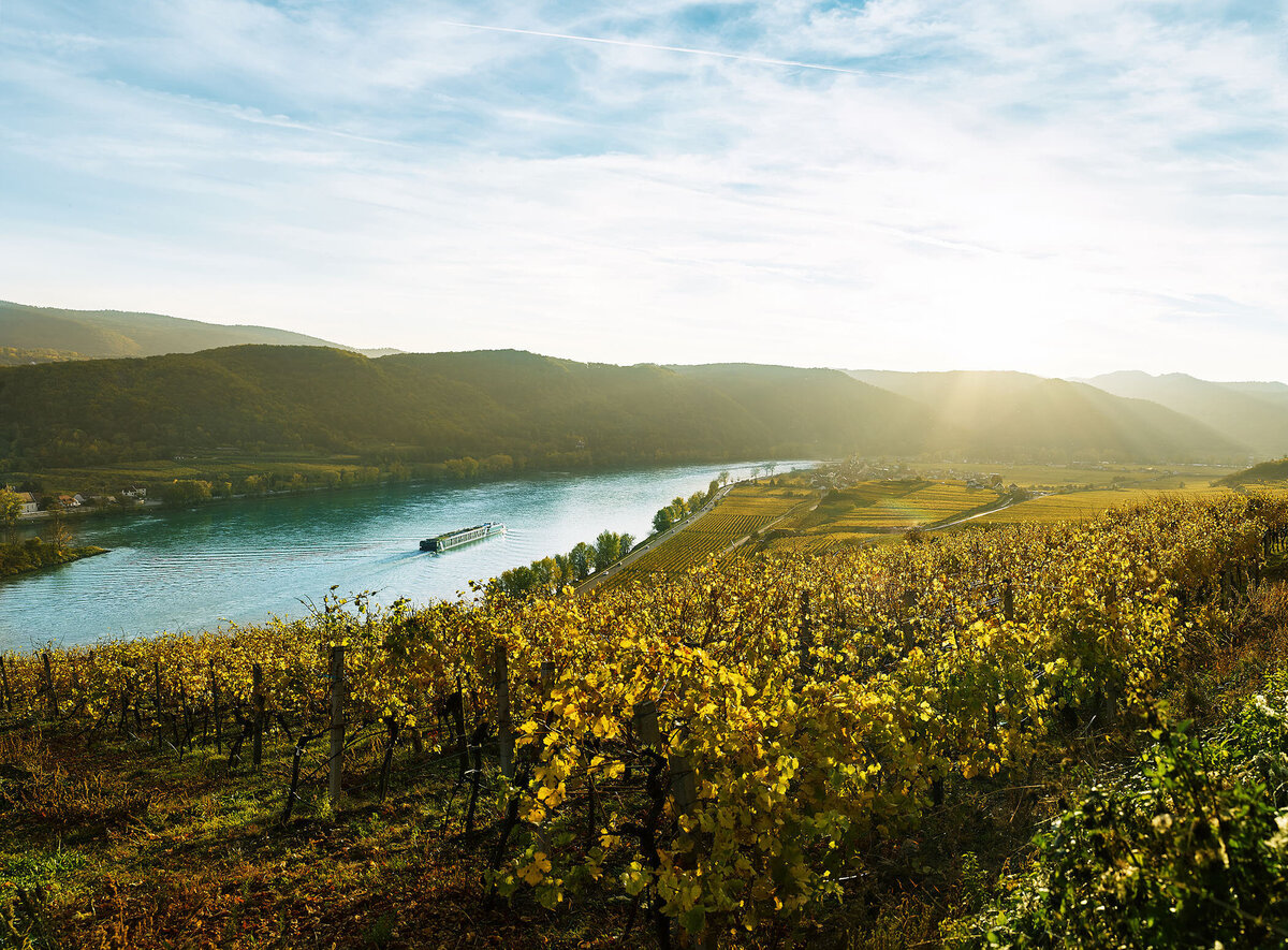 Stimmungsvolle Herbstaufnahme aus der Wachau mit Blick über die Donau bei Loiben – fotografiert vom Spezialisten für Alpenlandschaften Florian Schulte. Professionelle Landschaftsfotografie mit besonderer Lichtstimmung in Niederösterreich.