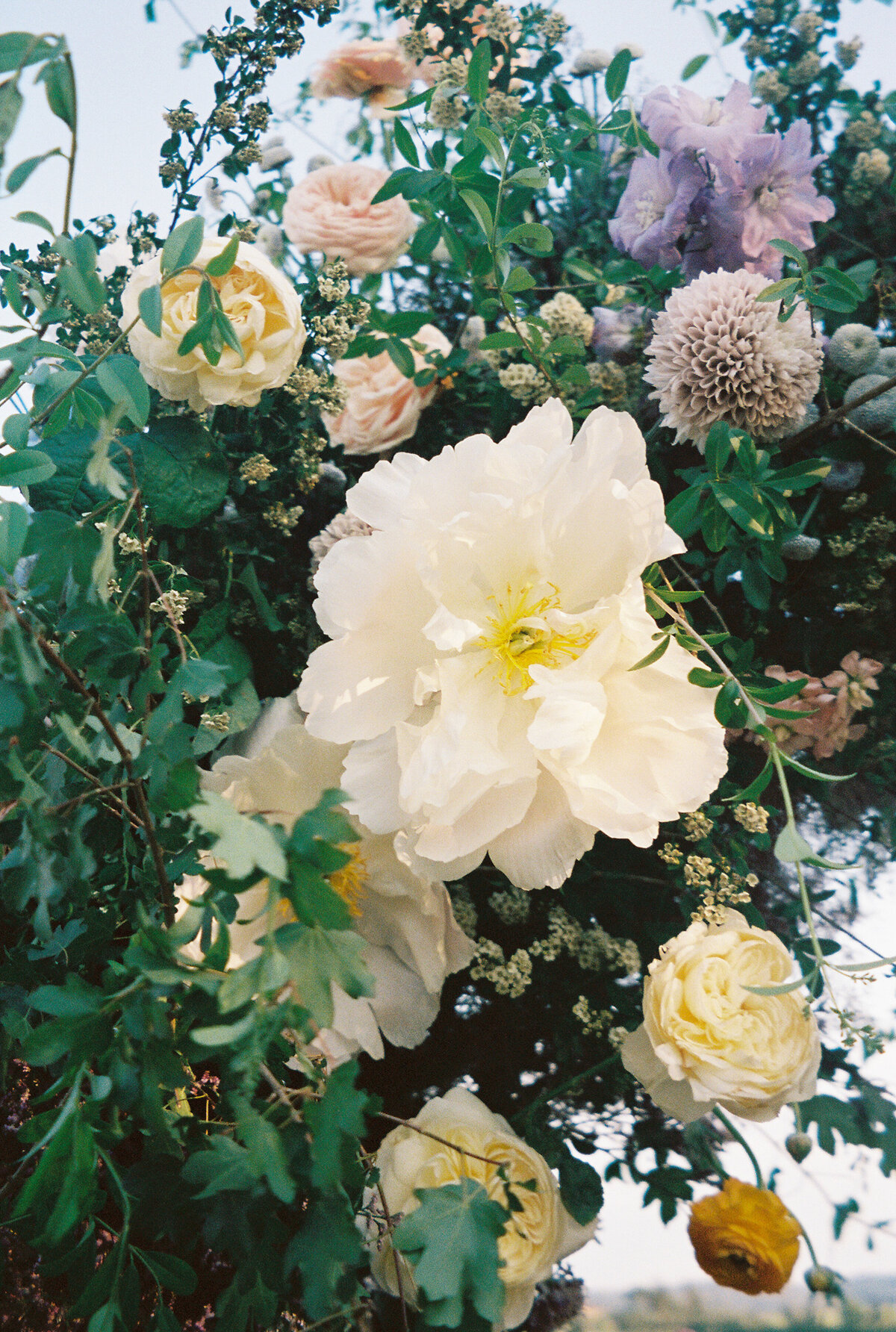 Villa-Corsini-Florence-Wedding-Larisa-Shorina-Photography-Italy-35mm-40