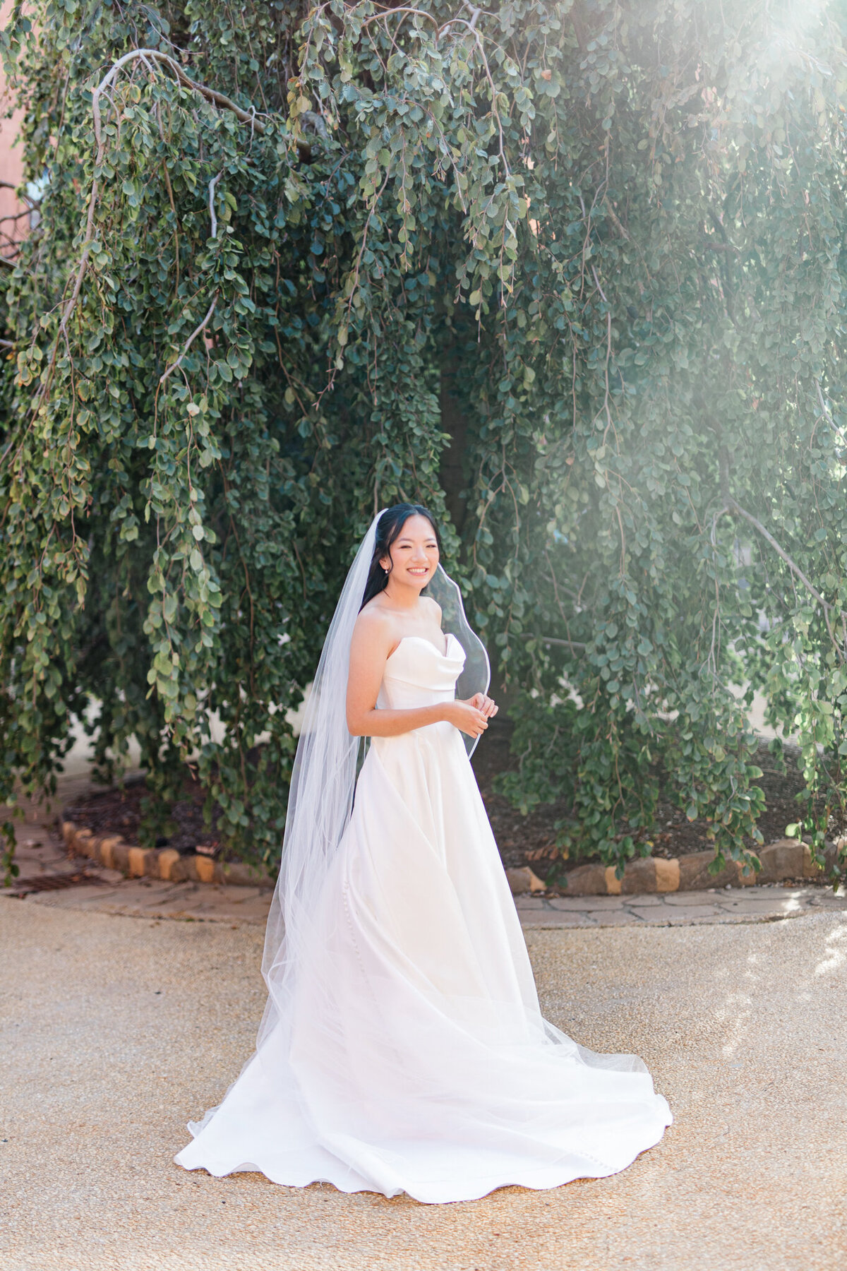 Bride in her white wedding dress and veil, standing in front of willow tree