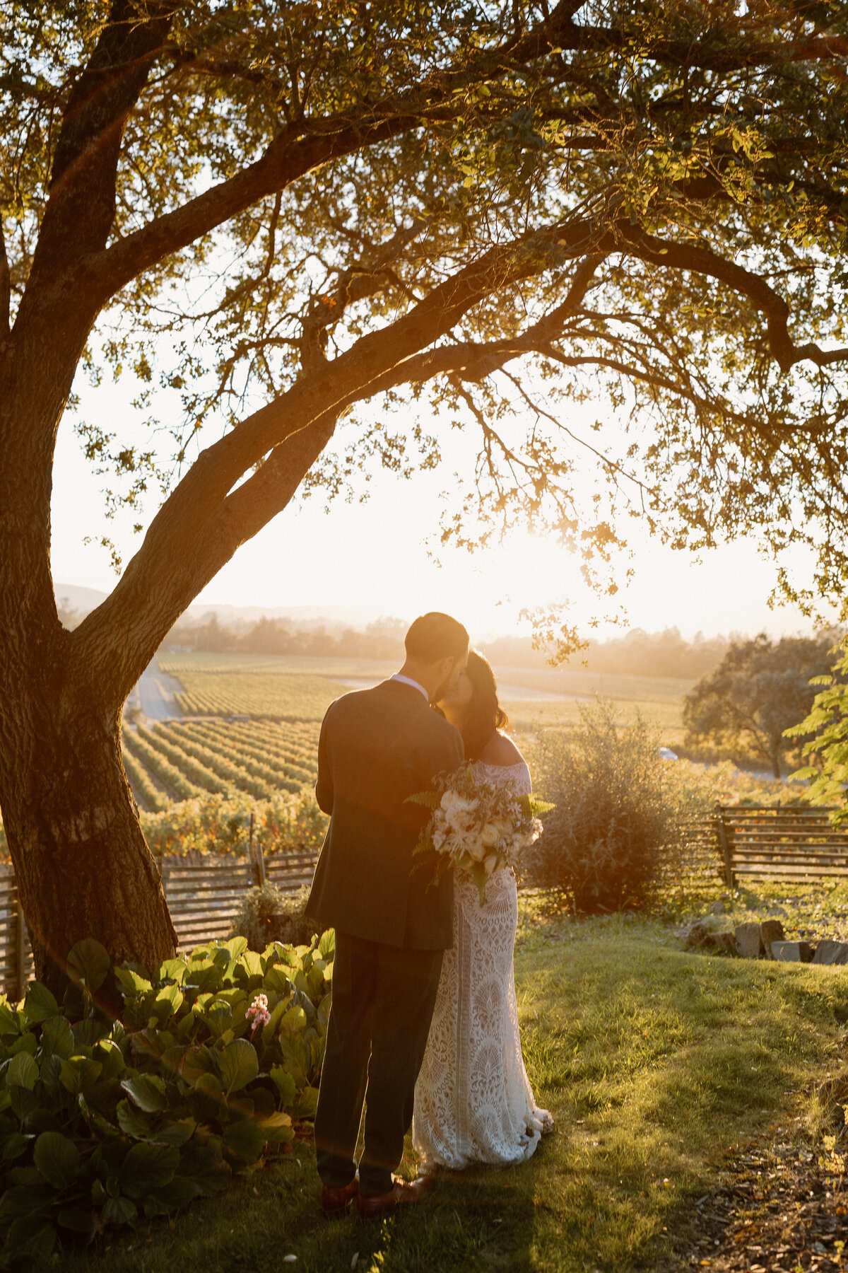 A newlywed couple shares a romantic sunset kiss under a grand oak tree with Napa Valley vineyards in the background.