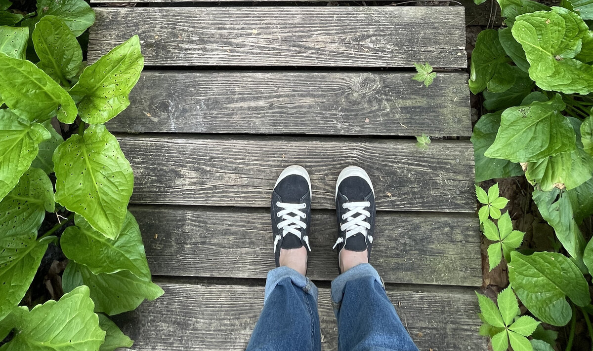 The closeup picture of the shoed feet of a woman standing on a wooden plank path in the middle of a lush green forest.