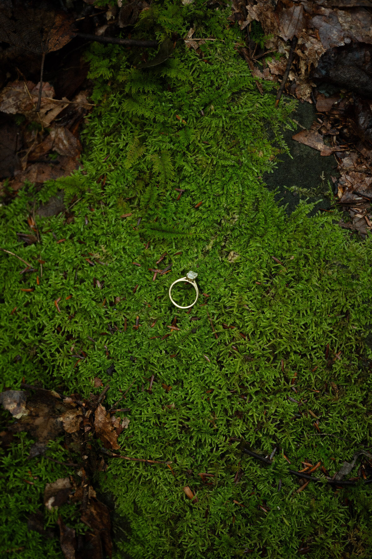 washingtonweddingphotographer-88