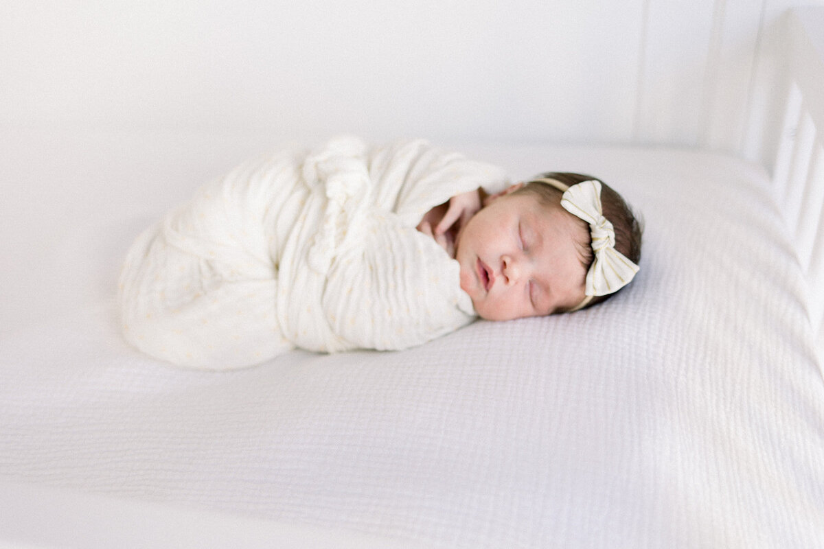 Chicago family photographers 