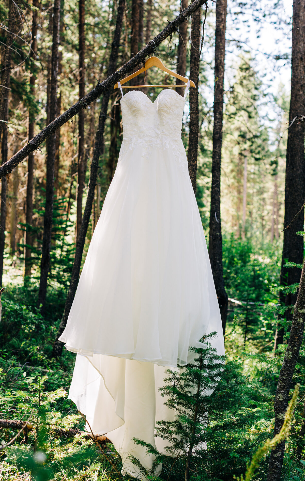 Elevate your wedding dress inspiration with our stunning collection of high-quality wedding dress photos in Glacier Montana