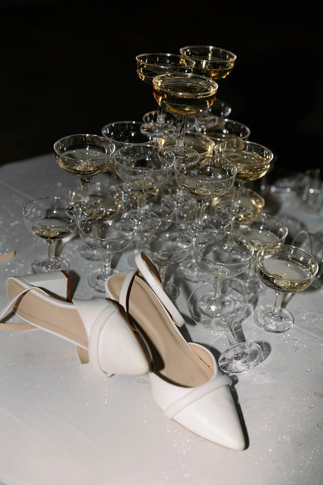 jackiesteele-181_websize