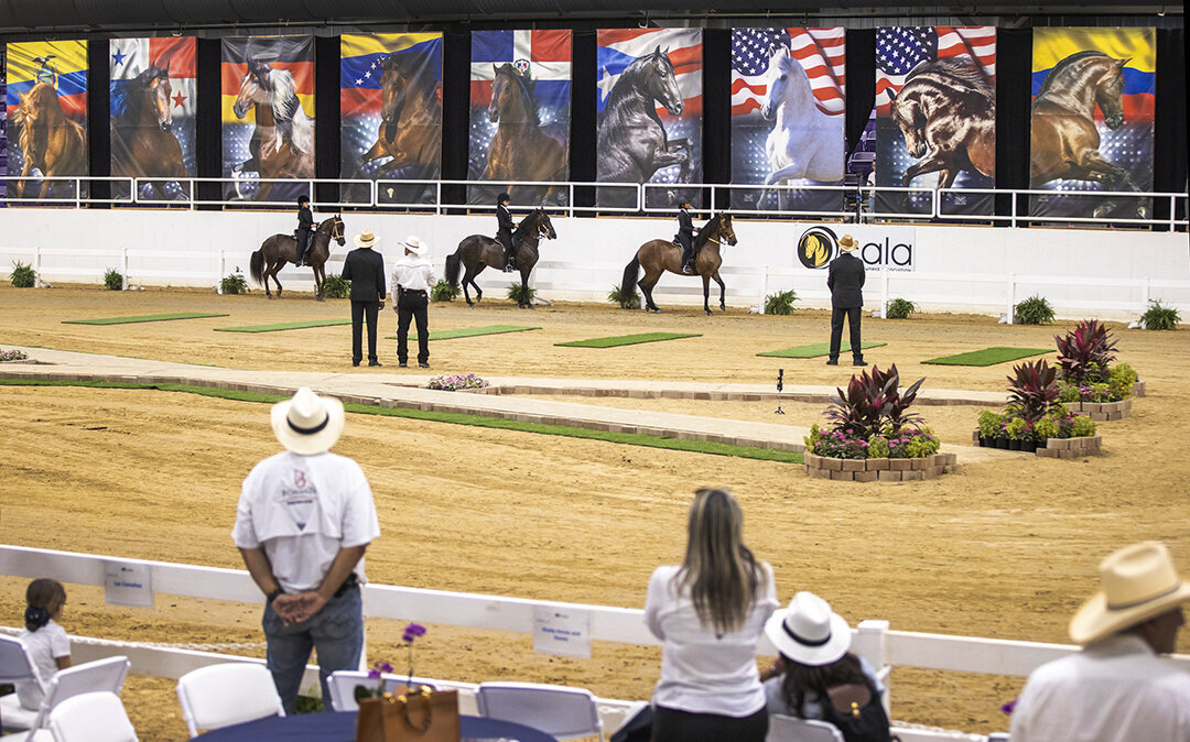 Banners-OPFHA-horse show displays-LR