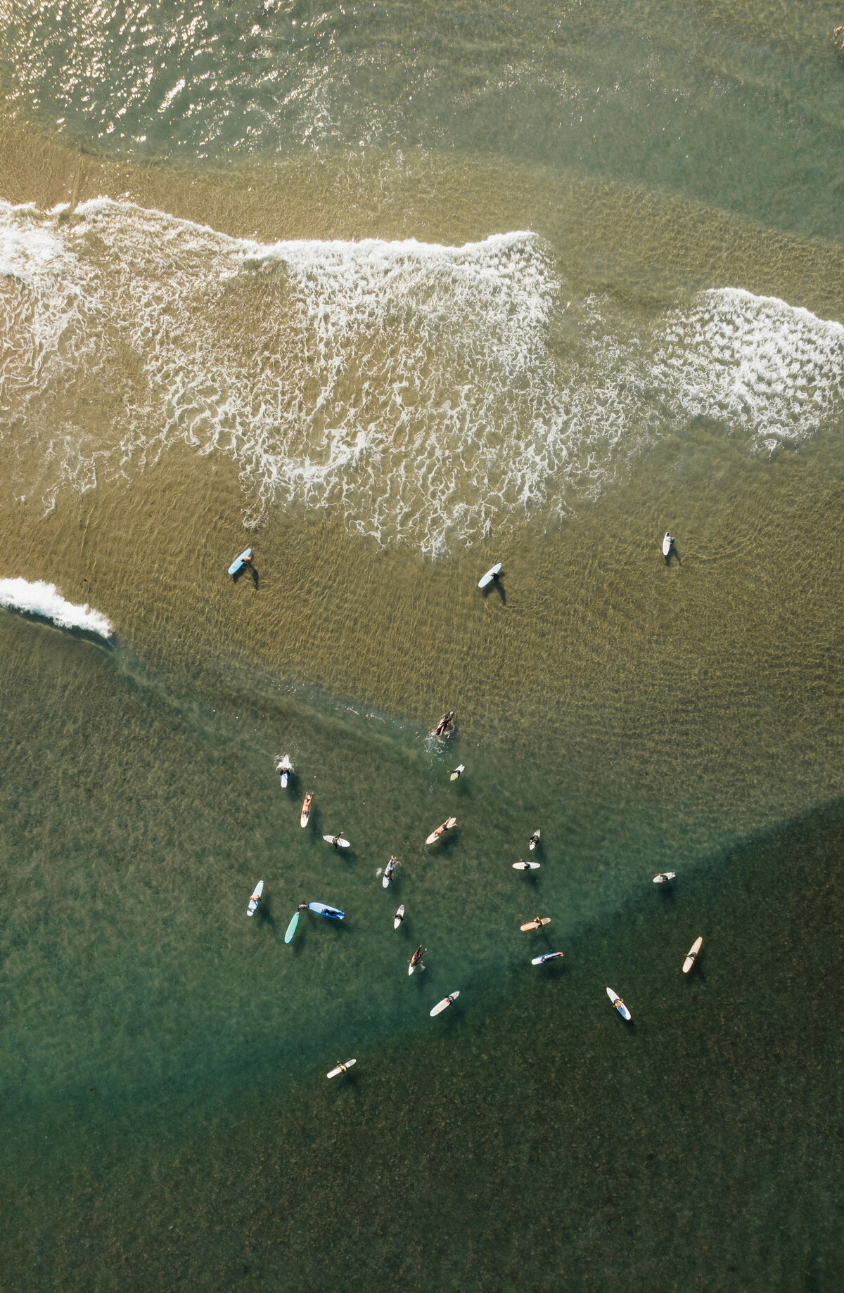 DJI_0445