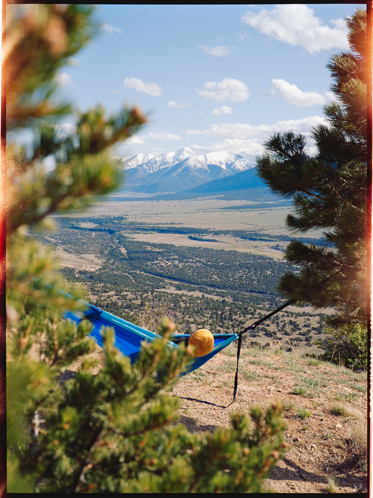 BV, Pat in a Hammock (6x8)-1