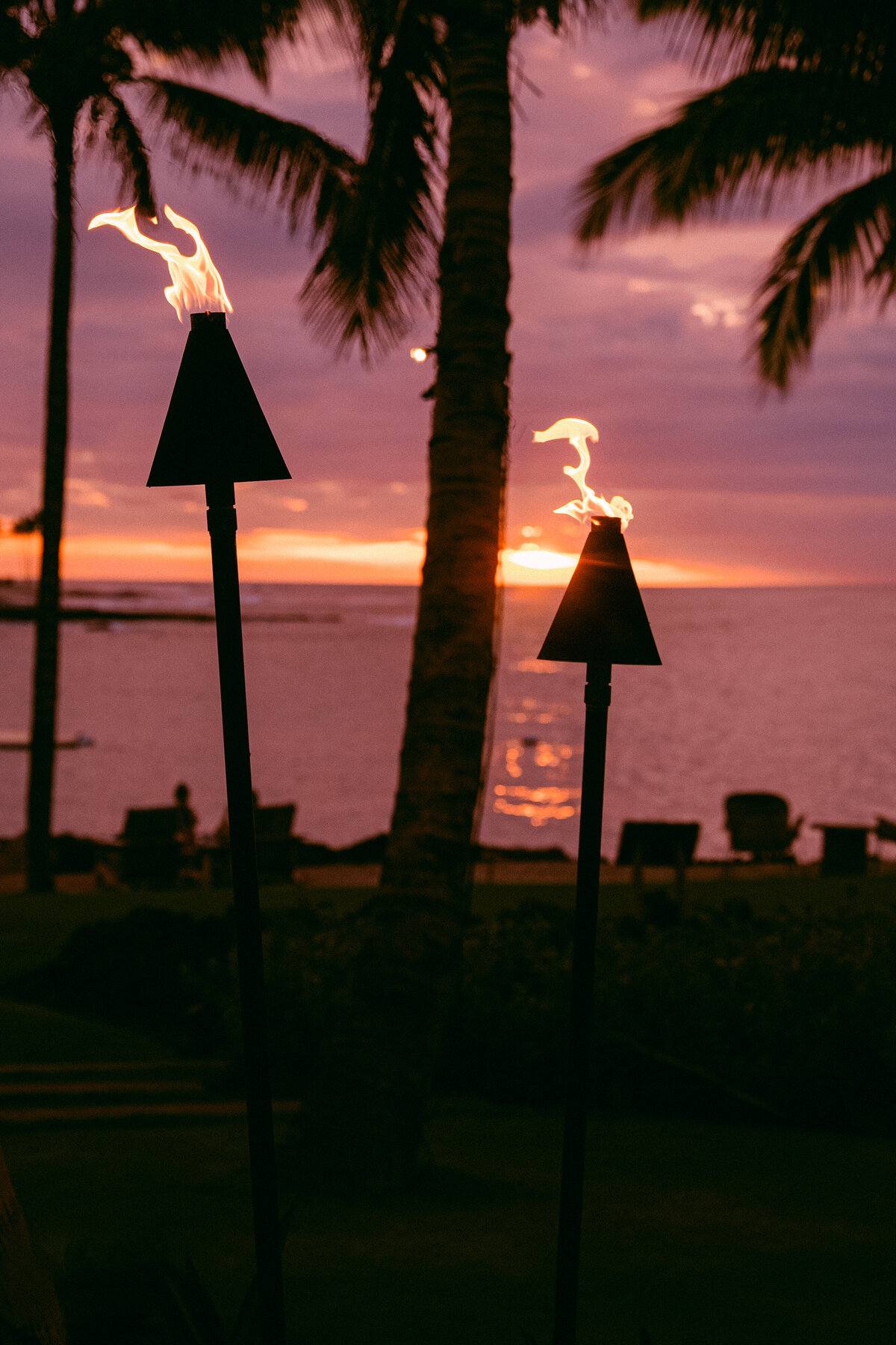 Destination Wedding Photographer, Maine, Hawaii _-02473