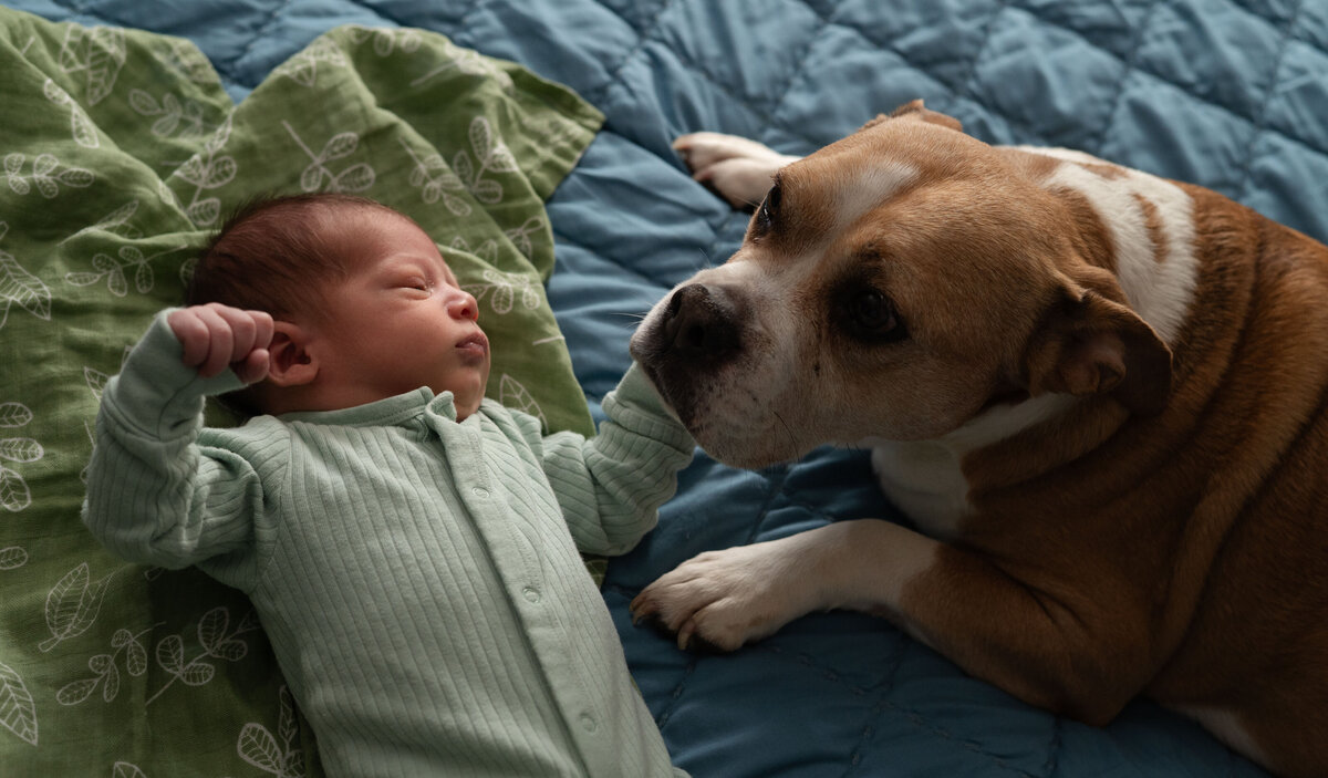 Baby Wesley_2025_131