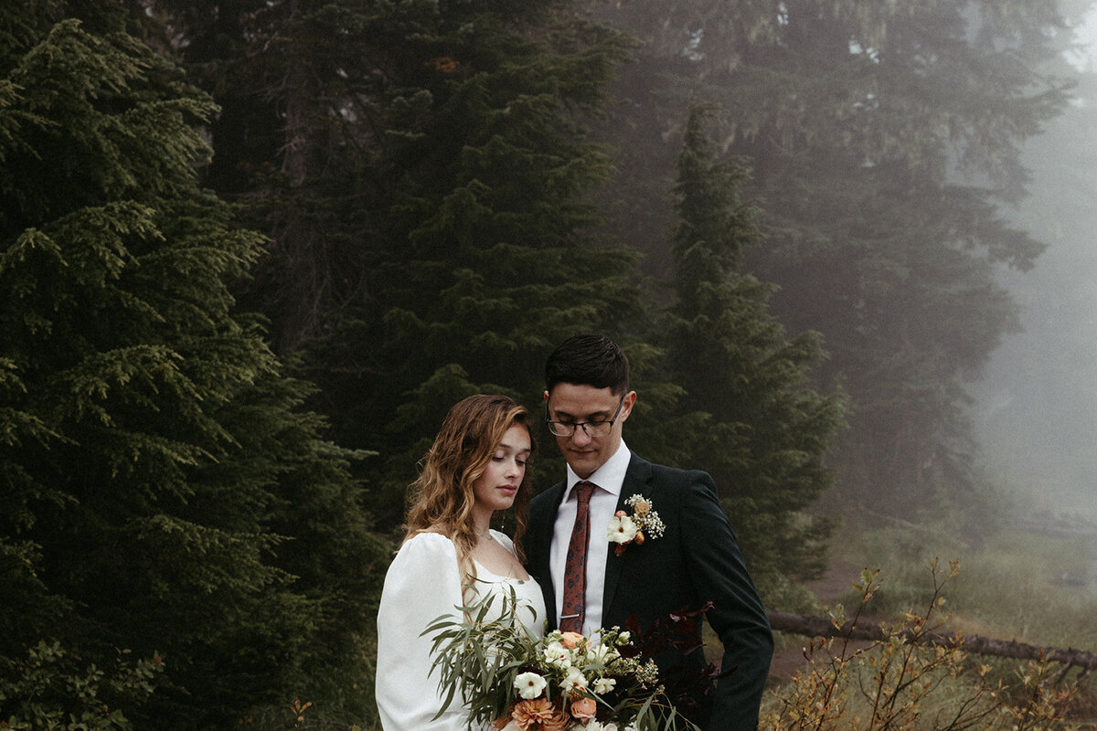MtRainierSmallWedding-DallinHazard-247