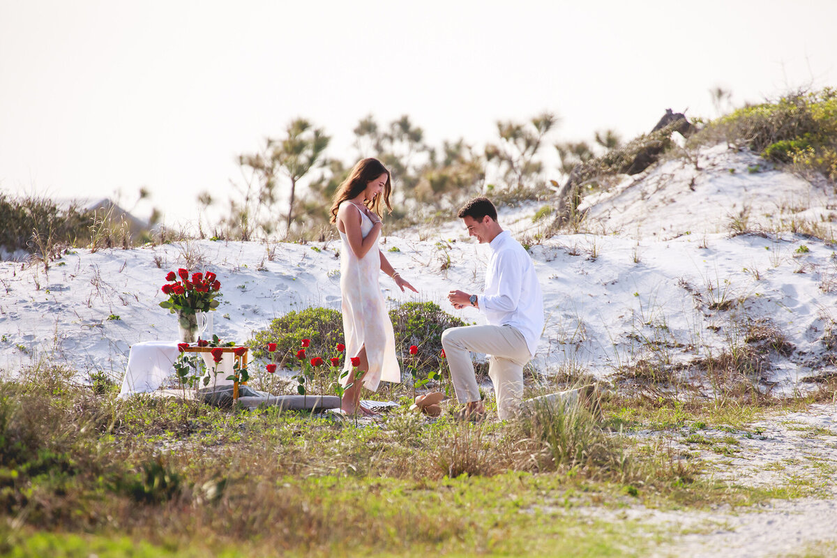 Man proposing at Grayton Beach State Park on 30a.