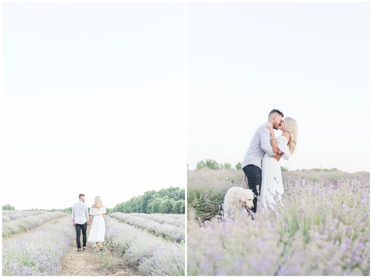 Light-and-Airy-Ottawa-Wedding-Photographer-La-Maison-Lavende-St-Eustache-Romantic-Lavender-Field-Engagement