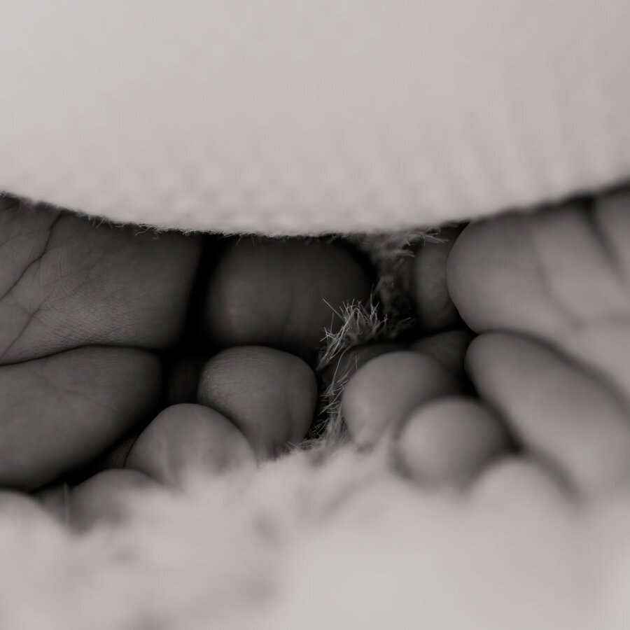 FullBloom_RollensNewborn_-16