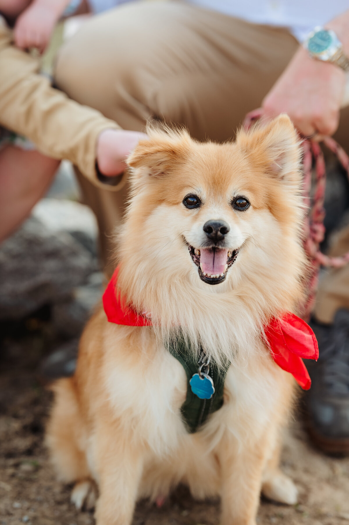 NinaJ_Spring2025_046