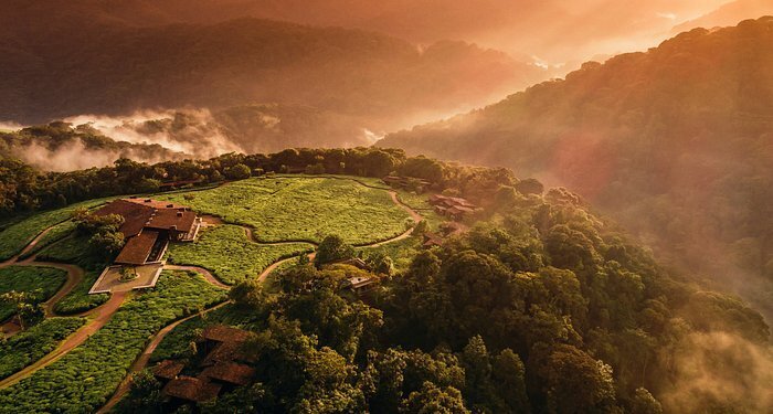 one-only-nyungwe-house