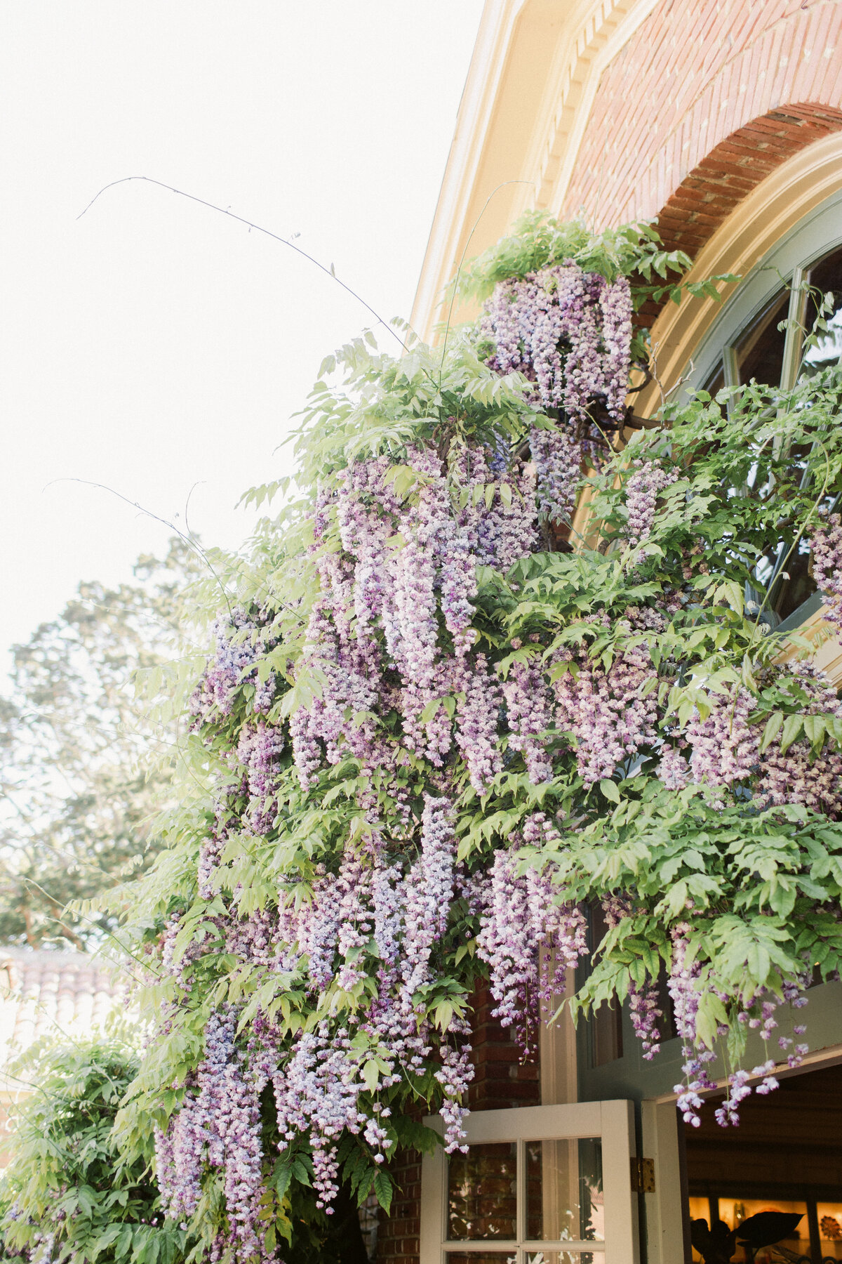 filoli-wedding-2