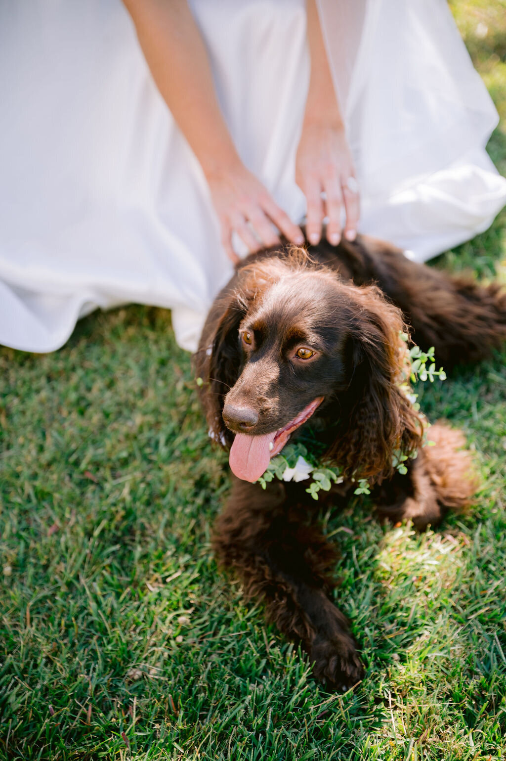 Haley-and-Michael-0045