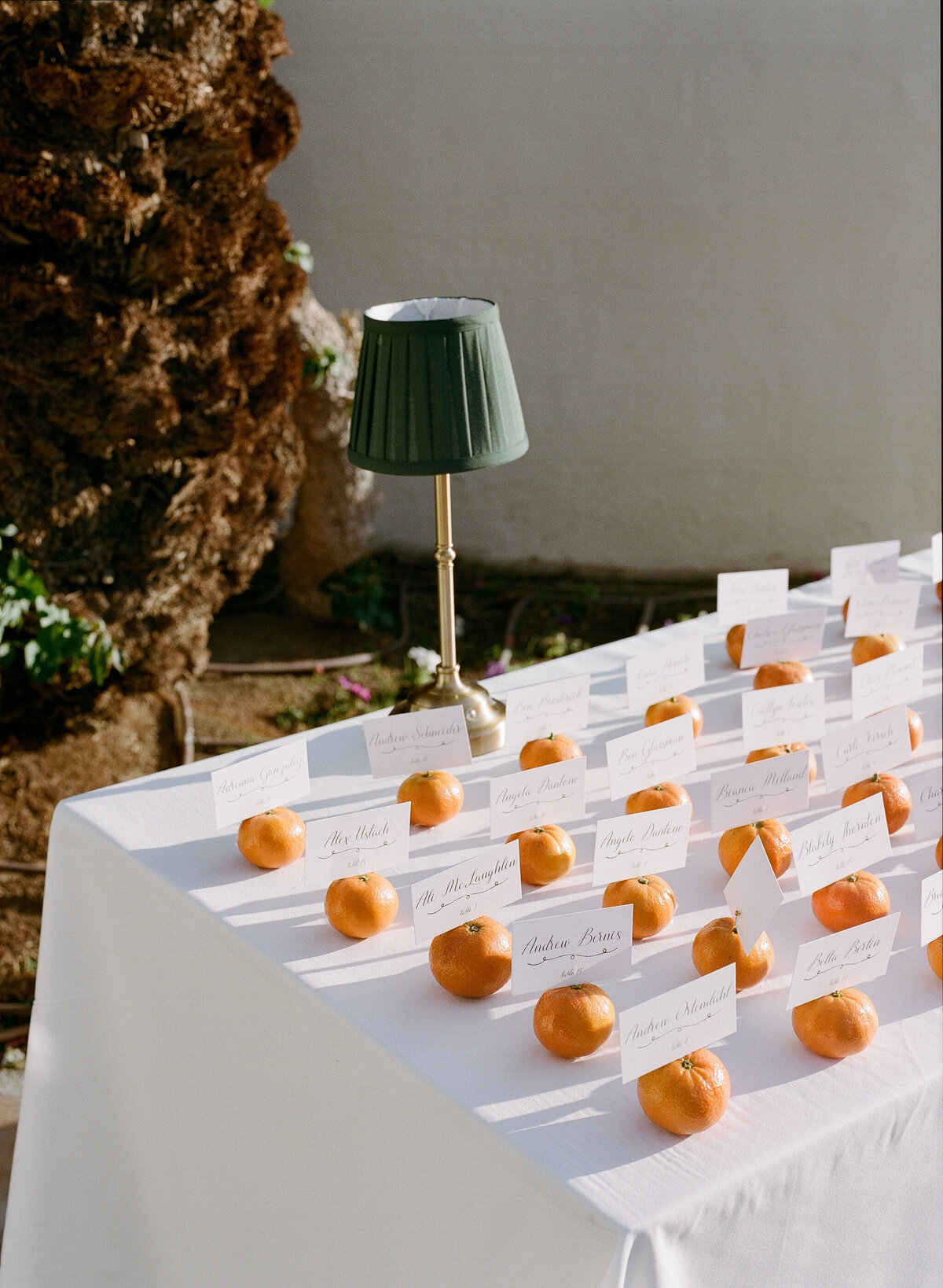 FayeFernCreative-La-Quinta-Resort-Palm-Springs-Wedding-VJ-13