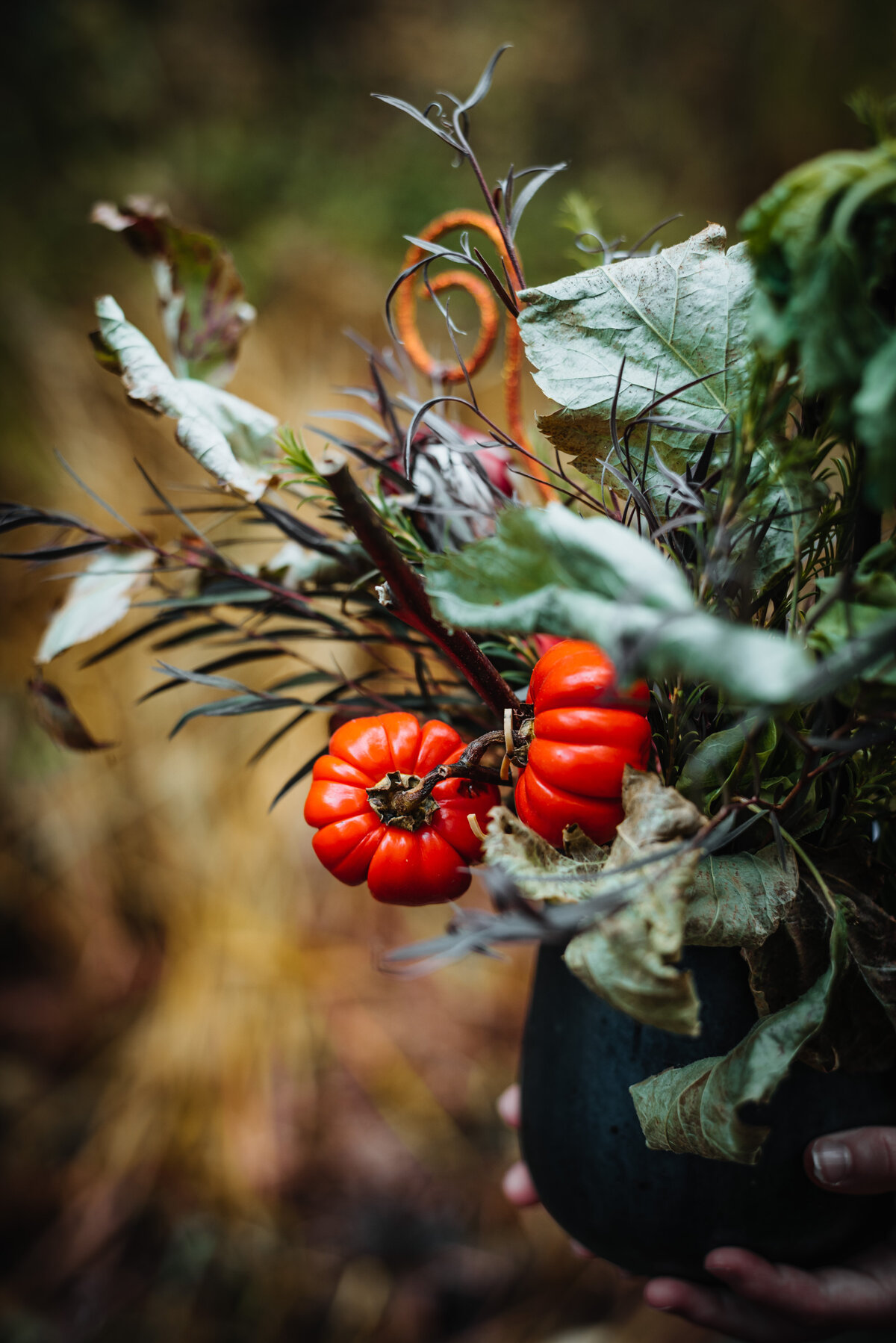 juneau-alaska-personal-branding-marthas-flowers-halloween-8