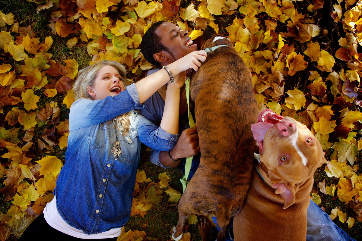 dogs-pets-engagement-portrait-spokane-fun-chaos