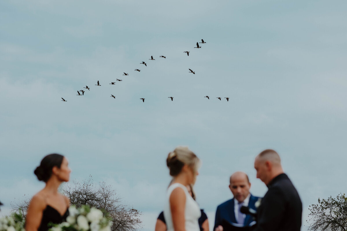 Haley Rome Photo | CT Wedding Photographer-2998