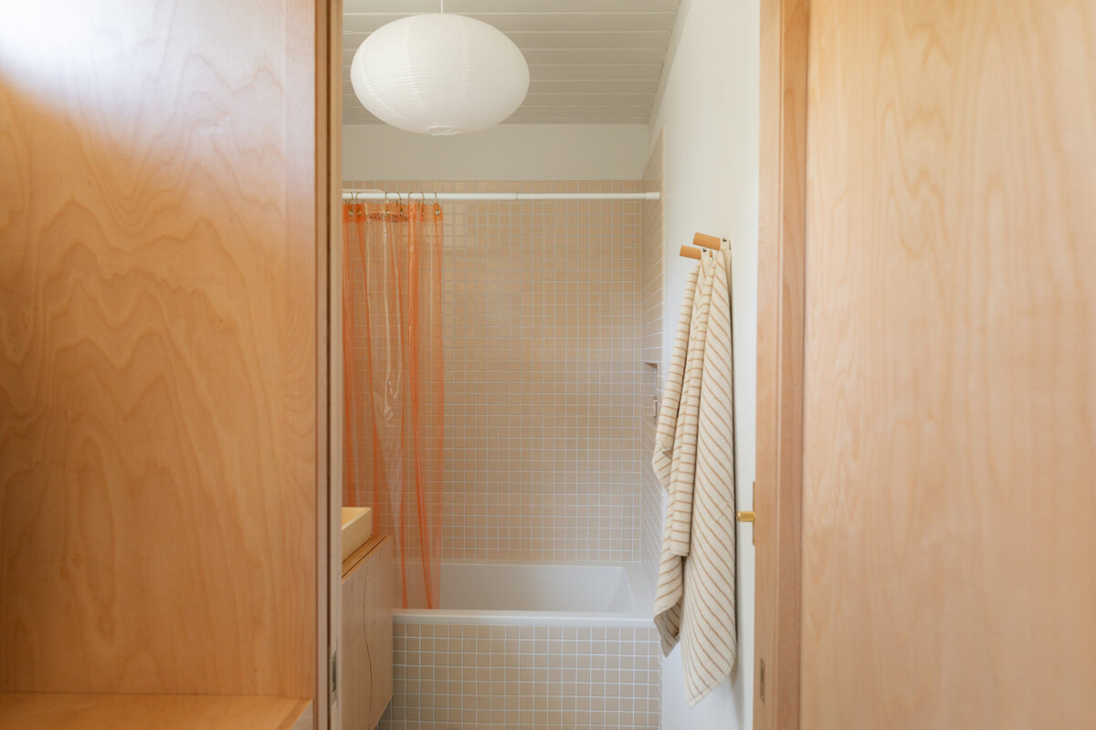 KOCINSKI-MCM-GUEST-BATH-RENO-DIGITAL--16